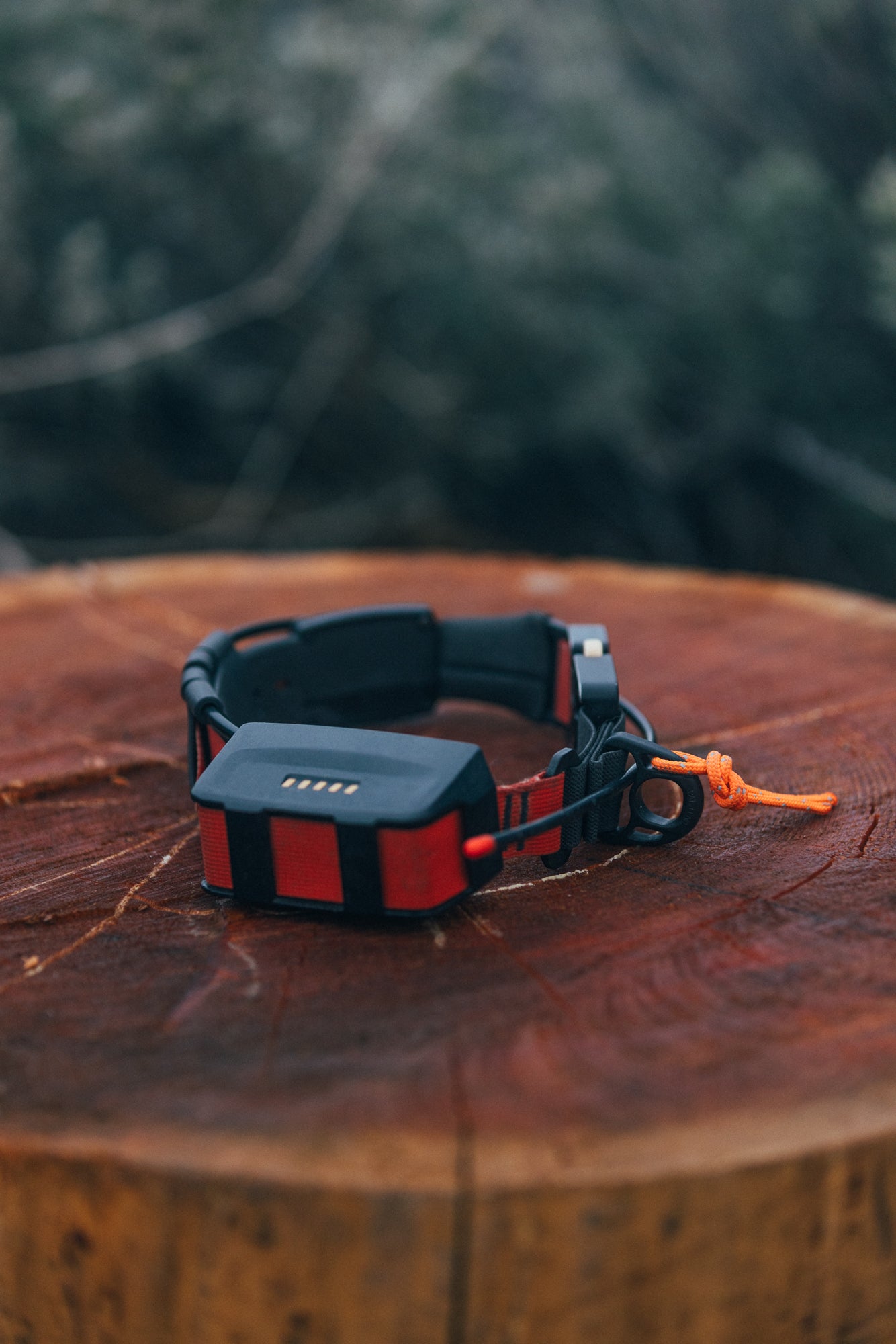 Koira Collar